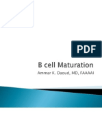 B Cell Developement