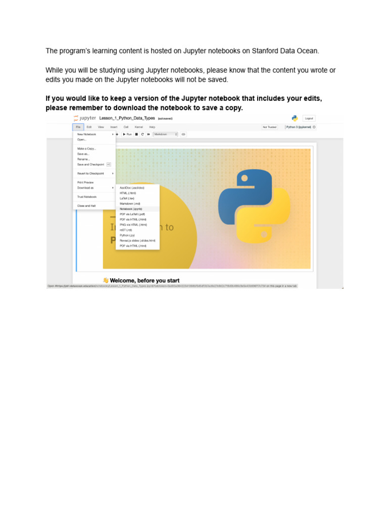Saving Edits in Jupyter Notebooks | PDF
