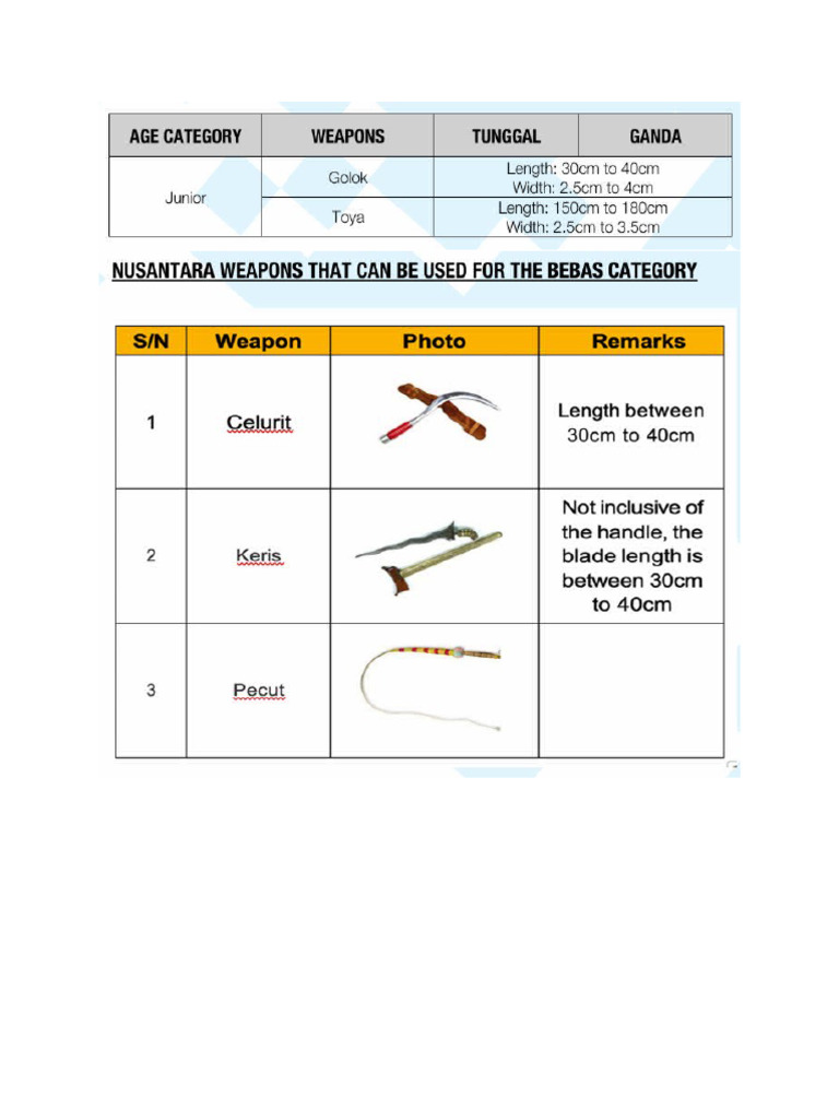 Weapon Measurement | PDF