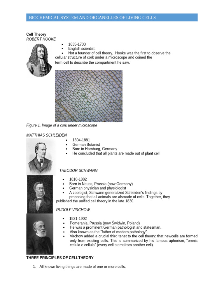 Overview of Cell Theory and Organelles | PDF | Cell (Biology ...