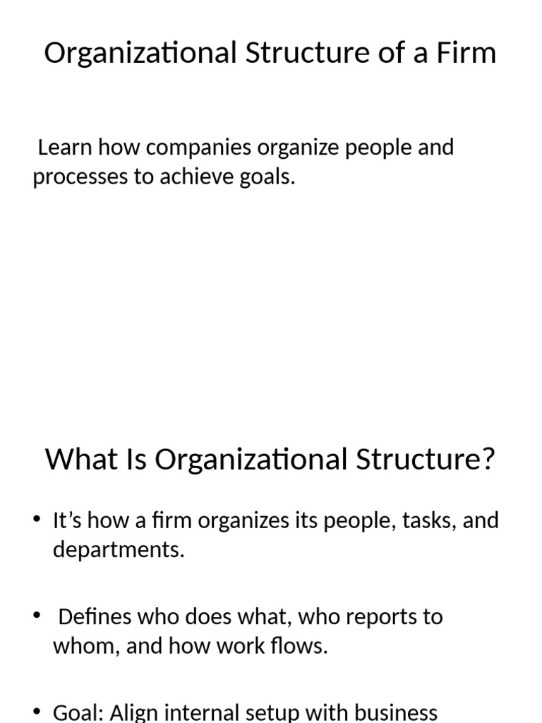Understanding Firm Organizational Structure | PDF | Organizational ...