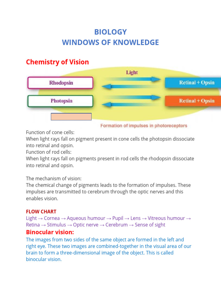 Chemistry of Vision Explained | PDF