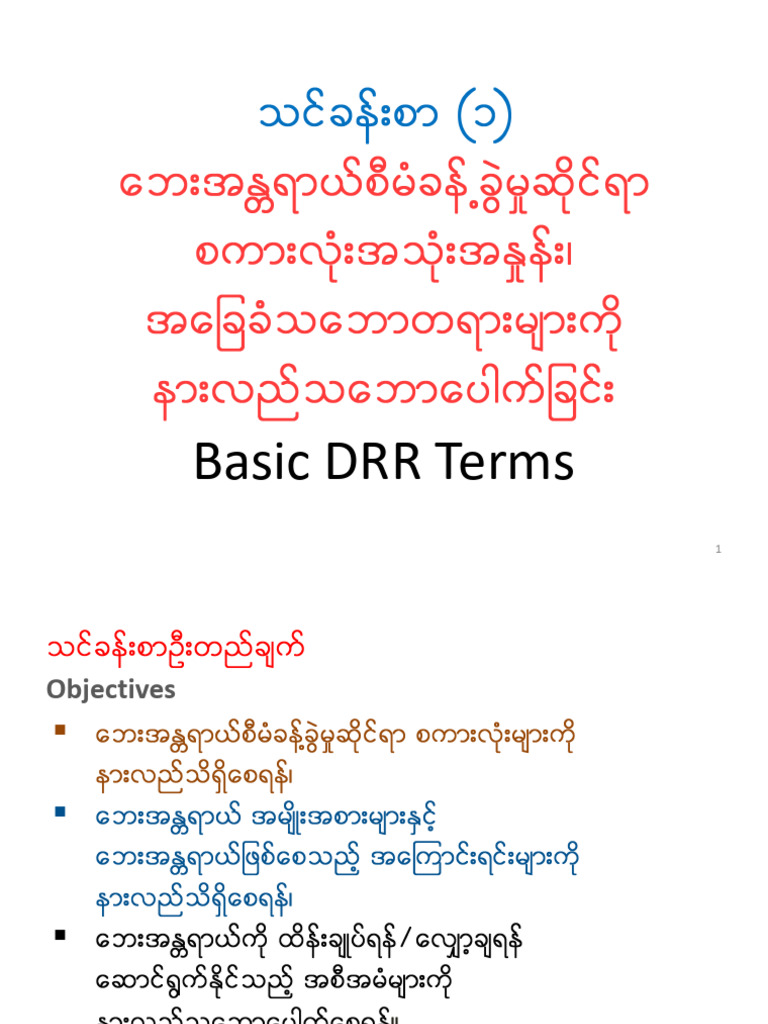 Module 1 Basic DRR Terms Presentation | PDF