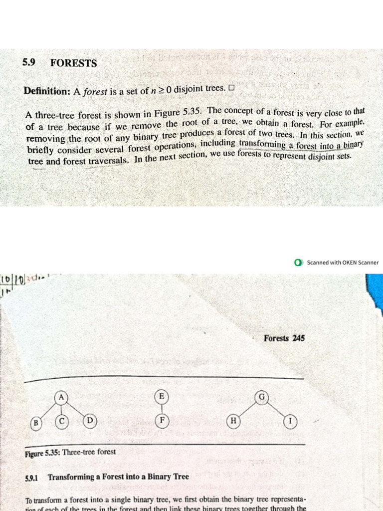 Forest | PDF