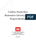 Culebra - RAB - Projects Briefing (2012 06 28)