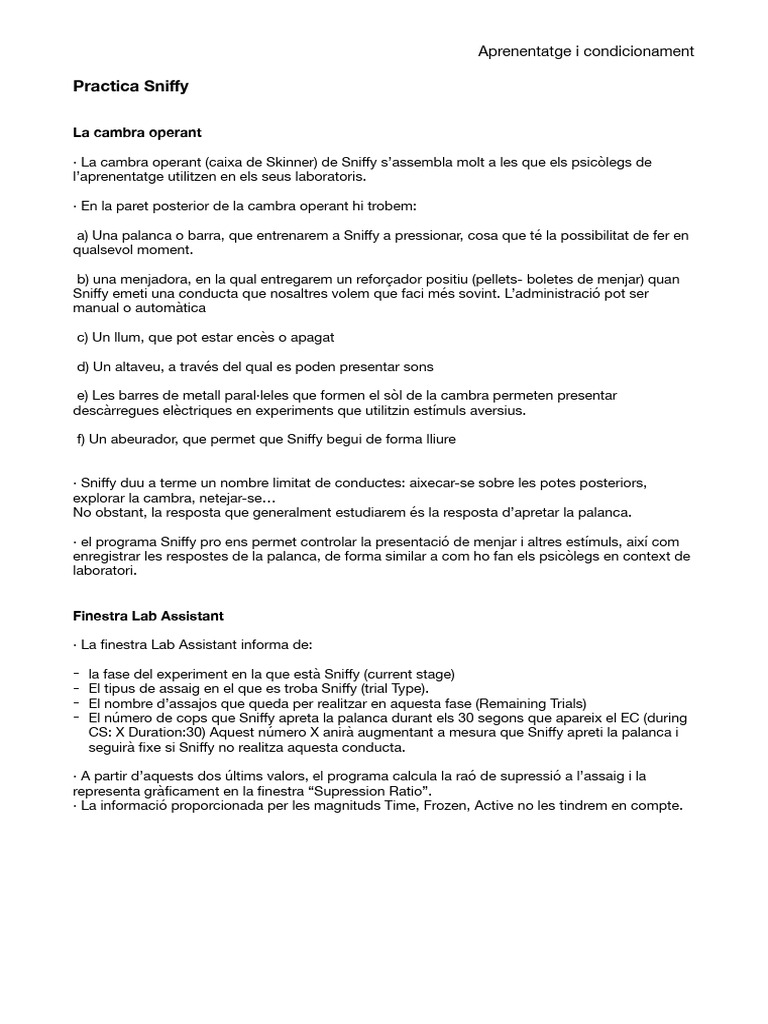 Practica Sniffy | PDF