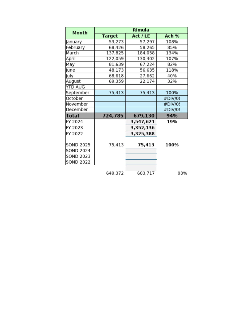 Monthly Performance Metrics Overview | PDF