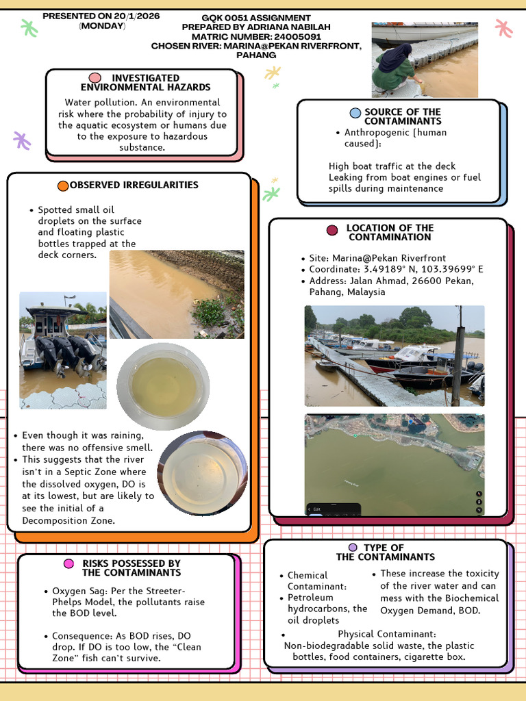 Water Pollution Risks at Pekan Riverfront | PDF | Water Pollution ...