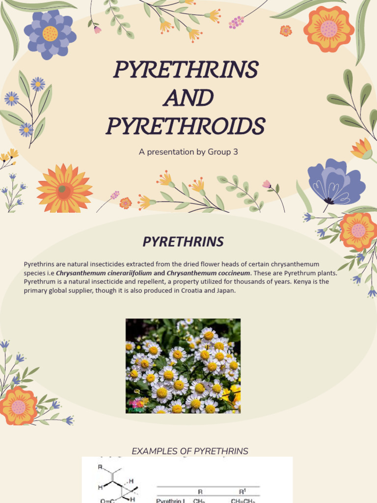 Pyrethrins and Pyrethroids Overview | PDF