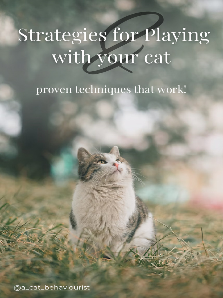 Essential Play Tips for Happy Cats | PDF | Cats | Predation