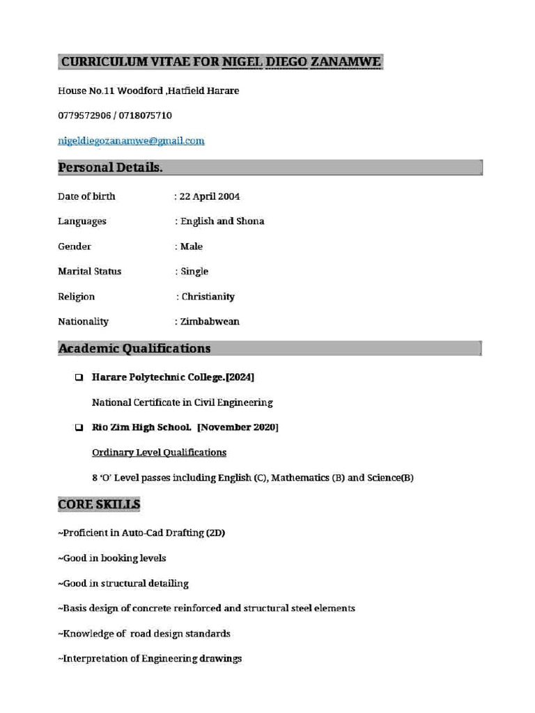 Nigel Diego Zanamwe CV & Qualifications | PDF | Engineering