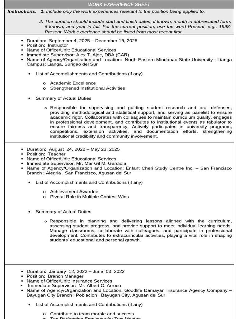 Work Experience Sheet for Educators | PDF | Learning | Teaching