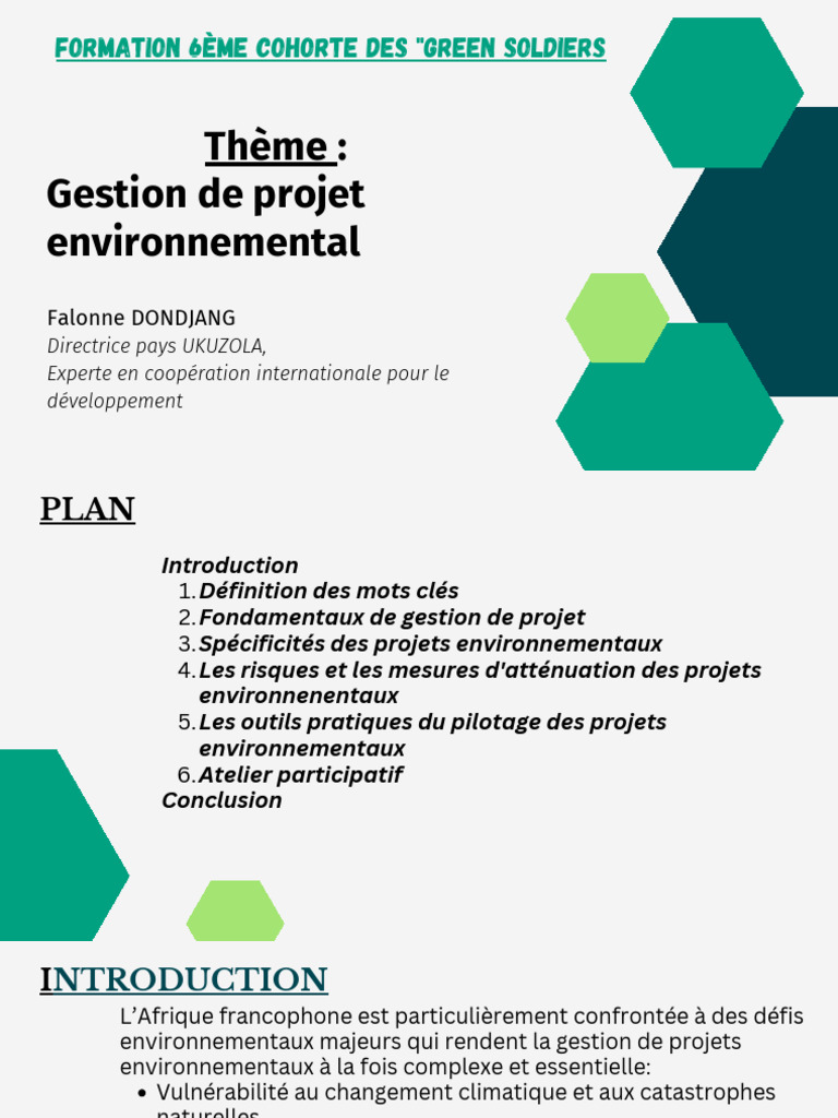 Gestion de projets environnementaux en Afrique | PDF | Gestion de ...