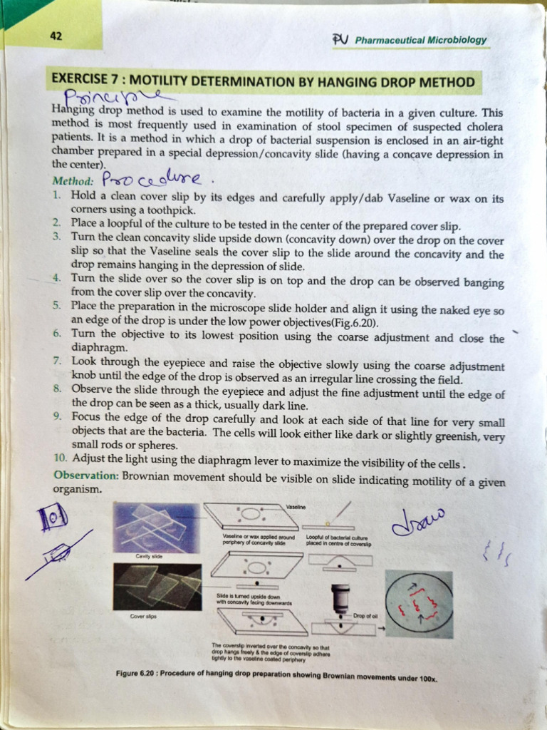 Motility Testing via Hanging Drop Method | PDF | Microscopy