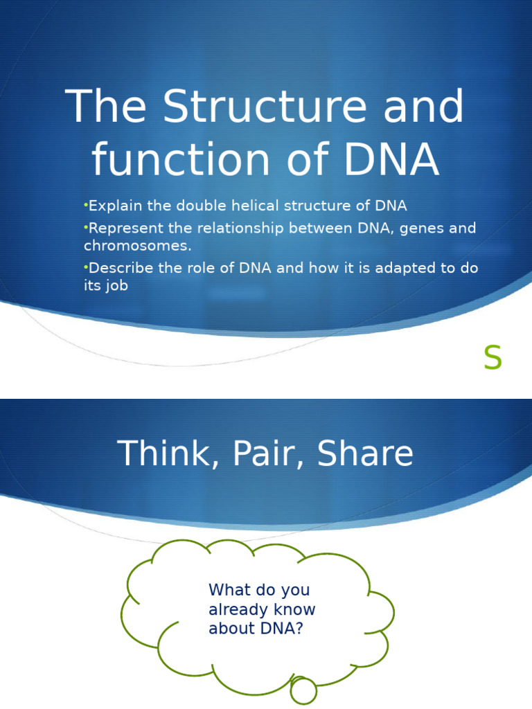 Understanding DNA Structure and Function | PDF | Dna | Nucleotides