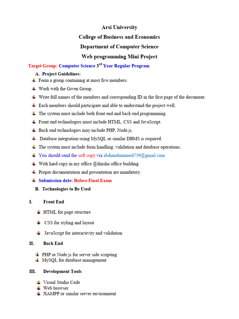 Web Programming Mini Project Guide | PDF | World Wide Web | Internet & Web