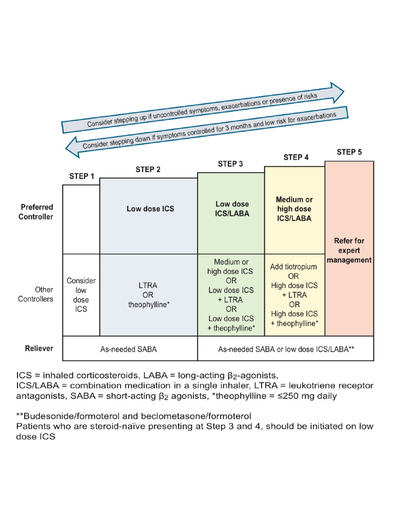 Asthma Ladder | PDF