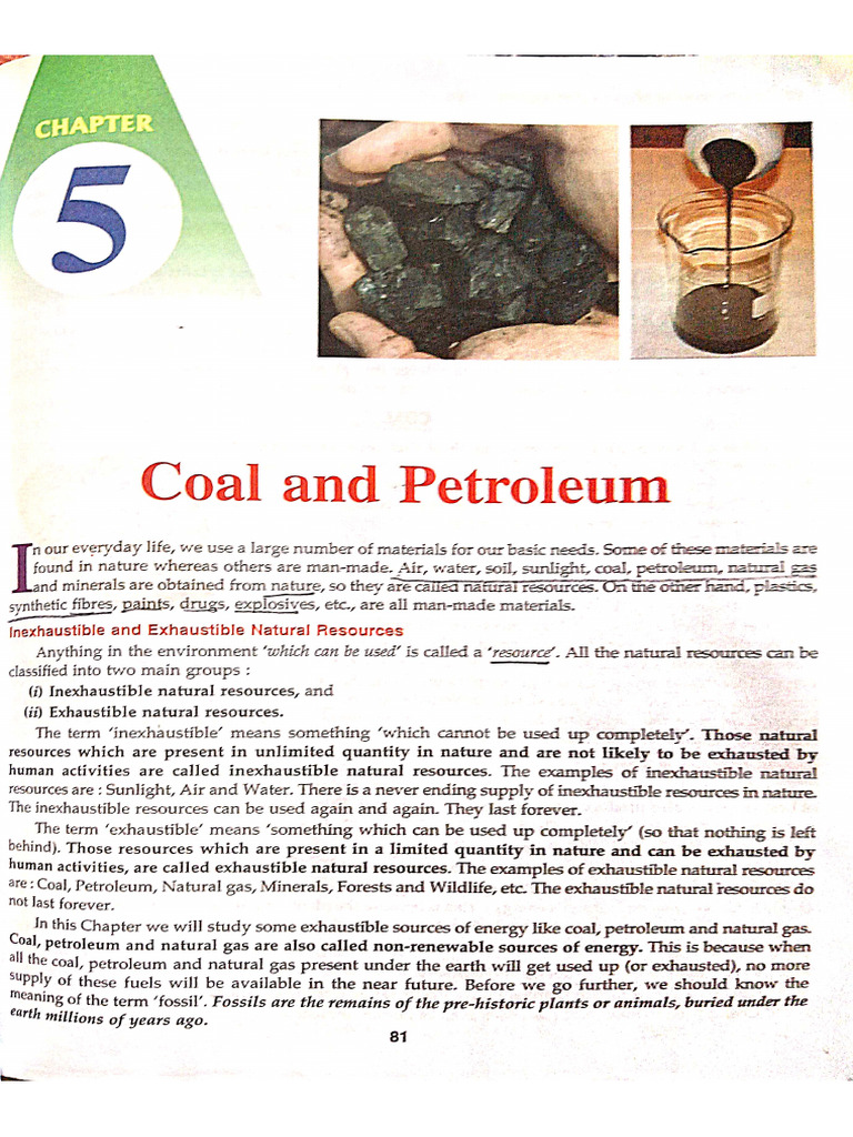 Coal and Petroleum Class 8 | PDF
