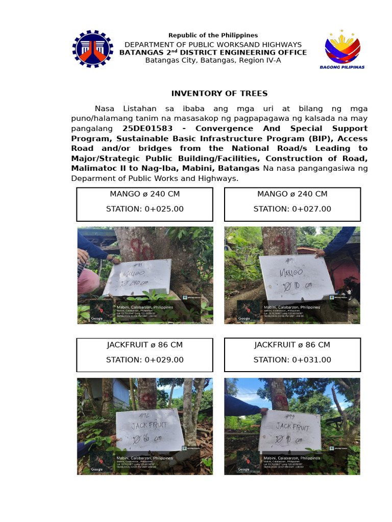 Tree Inventory for Batangas Road Project | PDF | Tropical Fruit | Fruit