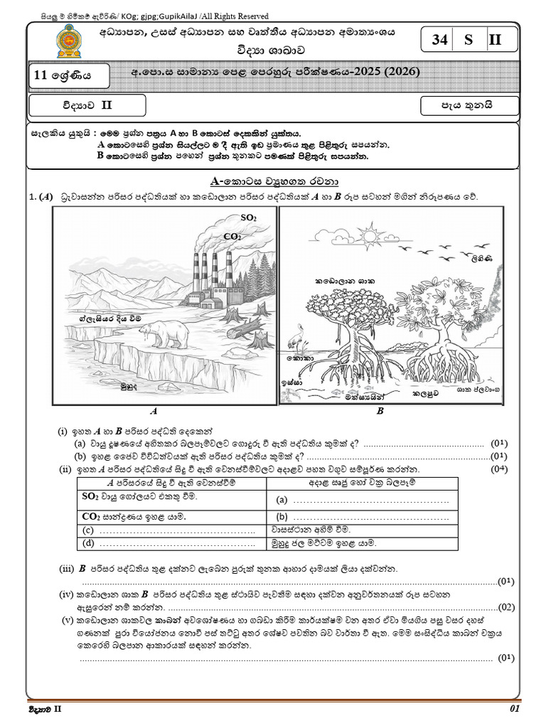 2025 Science Paper Part II | PDF