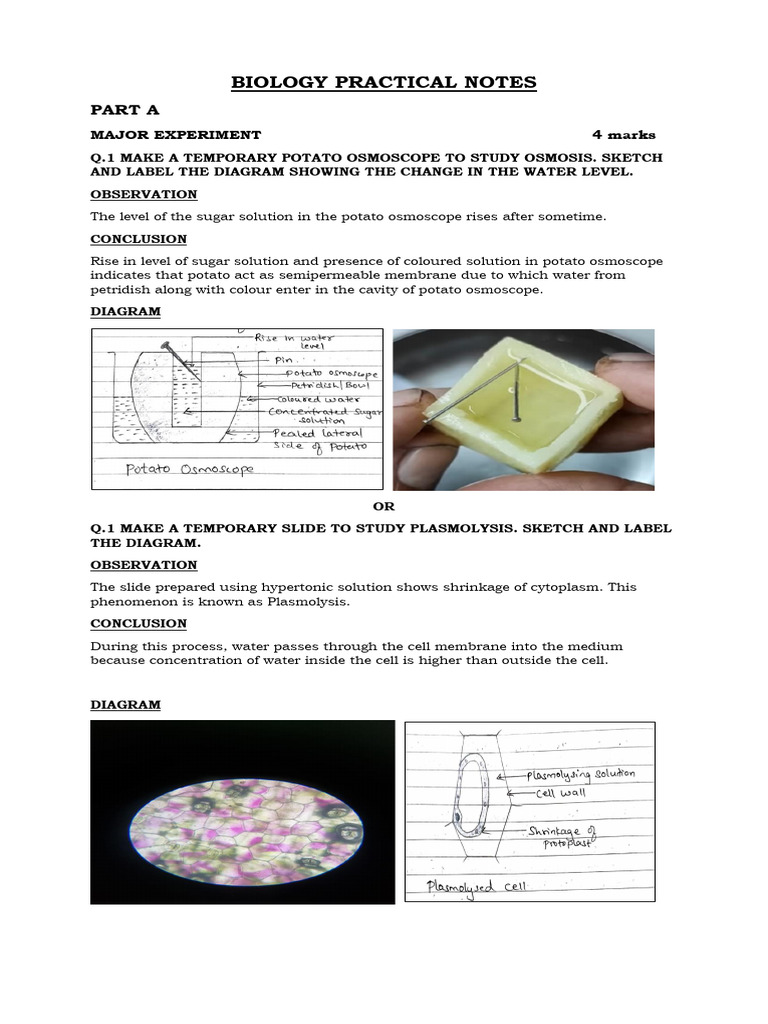 Biology Practical Notes: Experiments & Observations | PDF