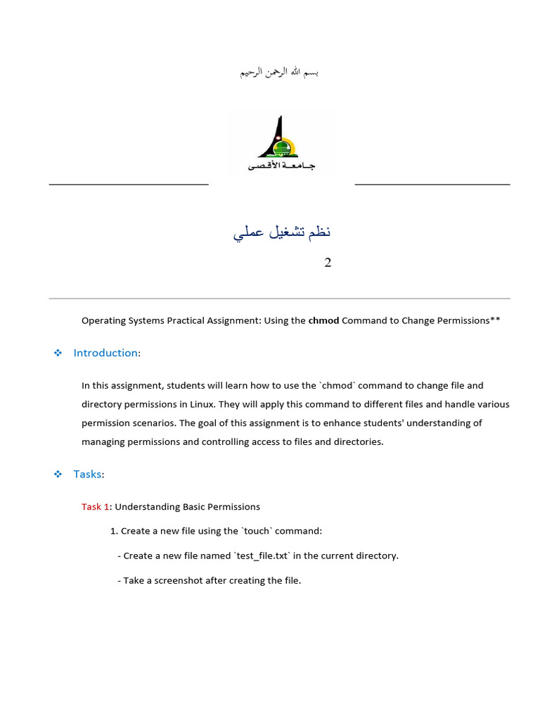 ASS2 Chomd Command | PDF | Computing | Operating System Technology