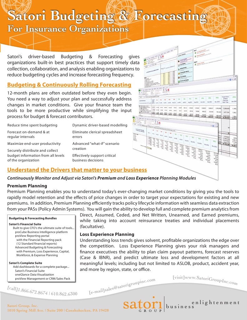 Satori Budgeting for Insurance CFOs | PDF | Reinsurance | Insurance