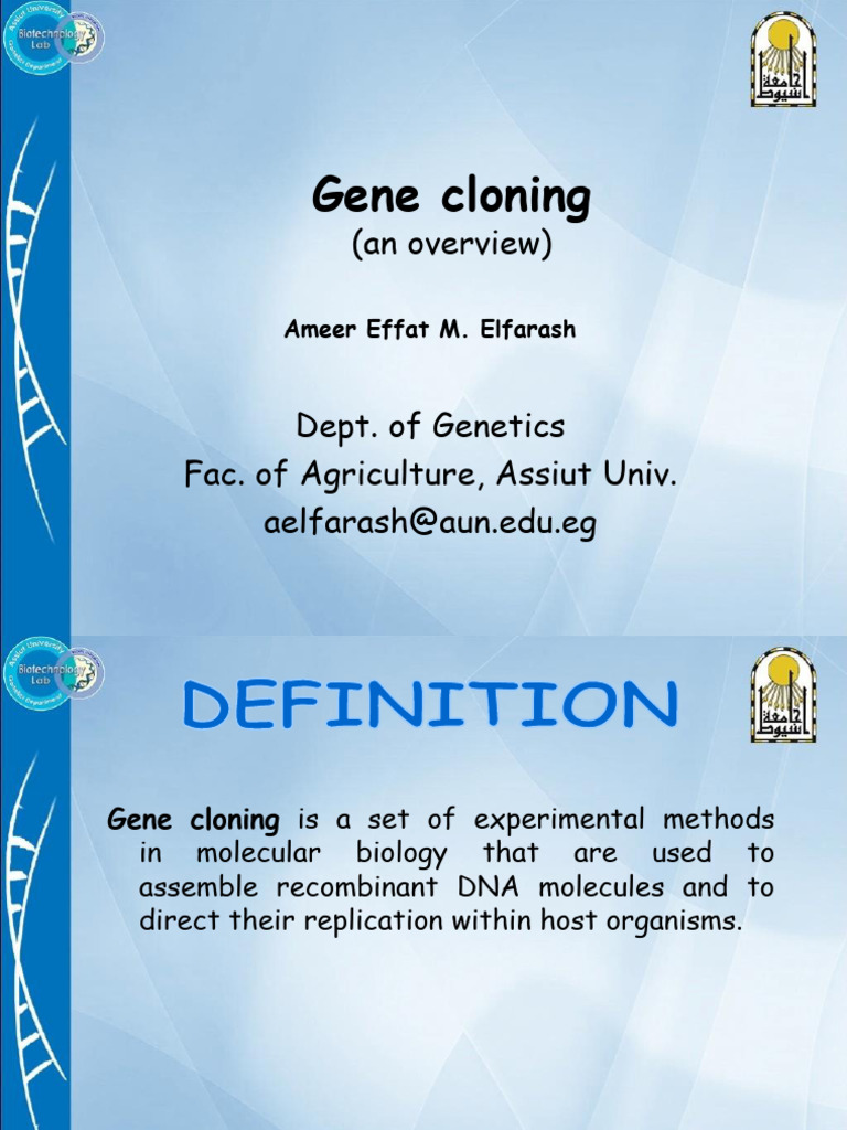 Overview of Gene Cloning Techniques | PDF | Molecular Cloning | Plasmid