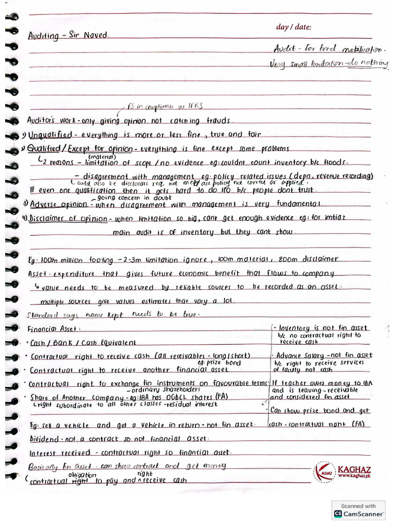 Audit Notes | PDF