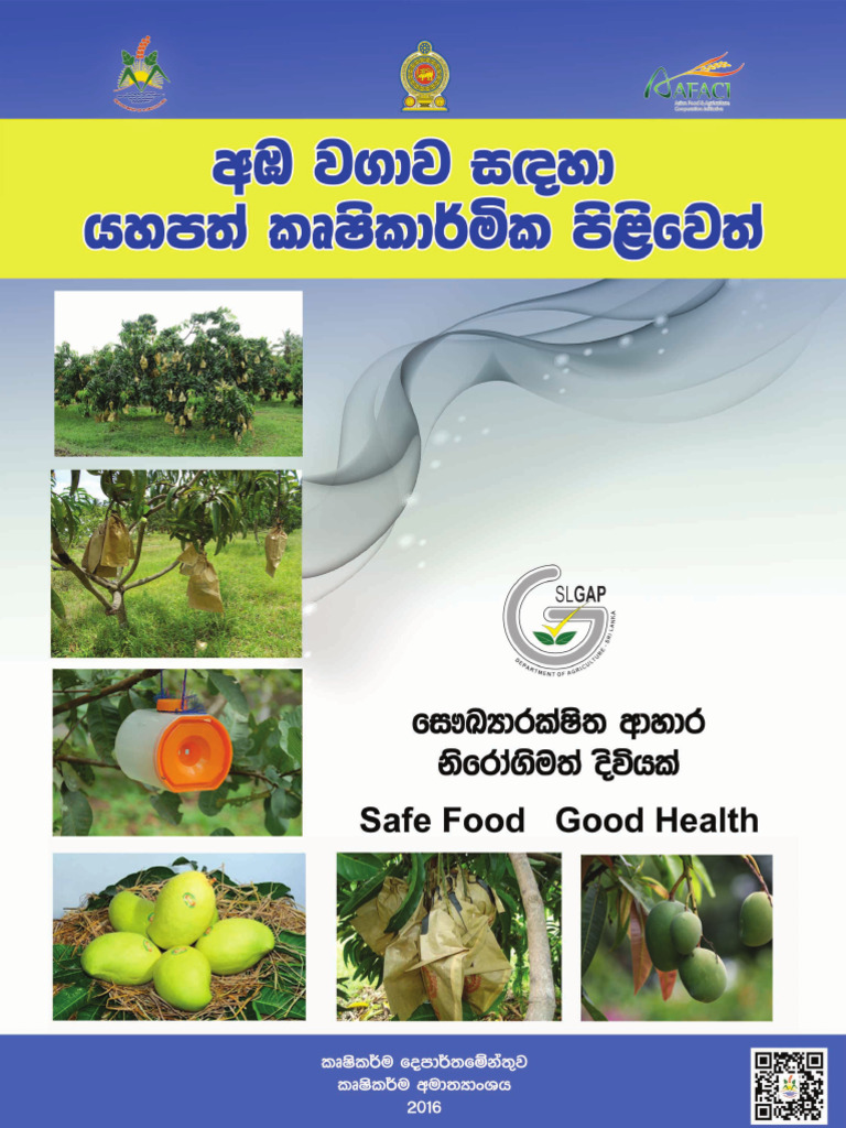 Document on Environmental Guidelines | PDF