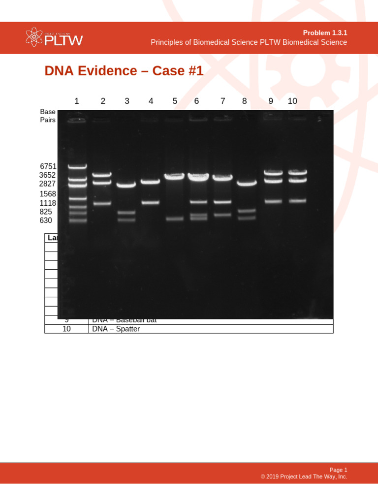 DNA Evidence Analysis in Biomedical Science | PDF