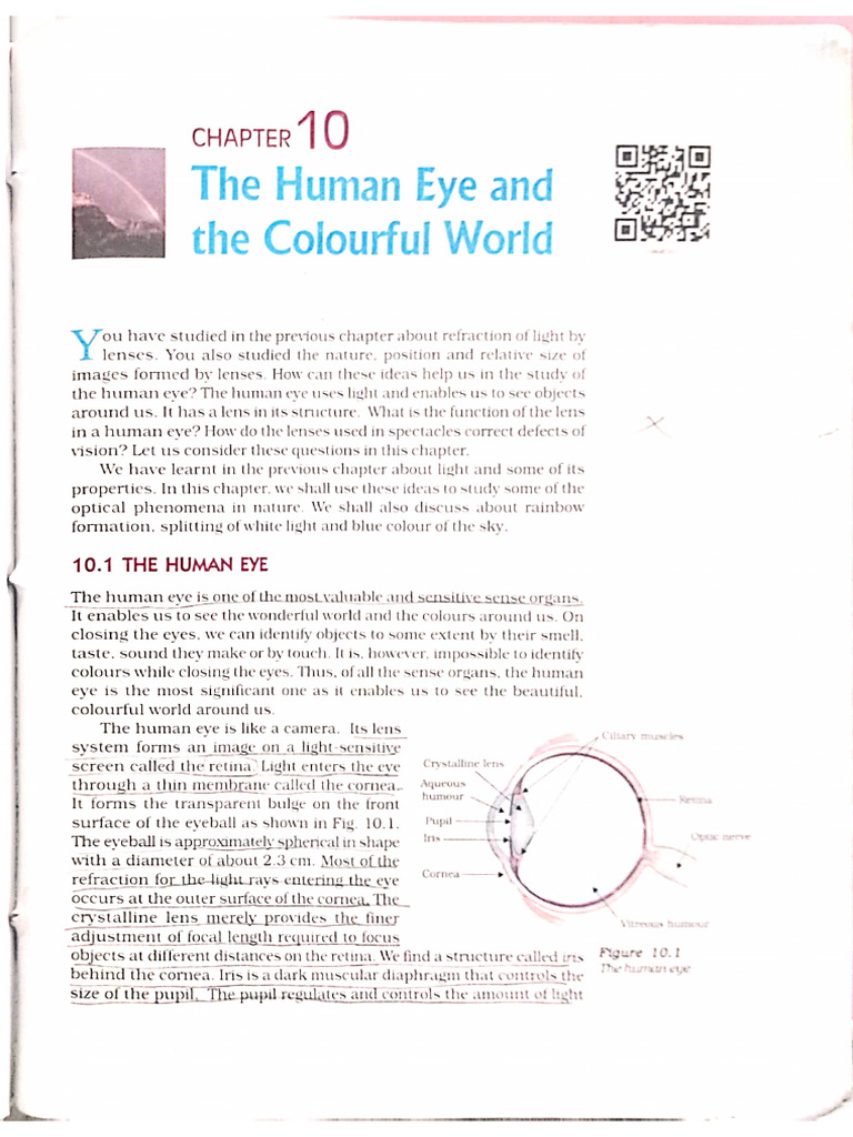Human Eye and the Colourful World | PDF