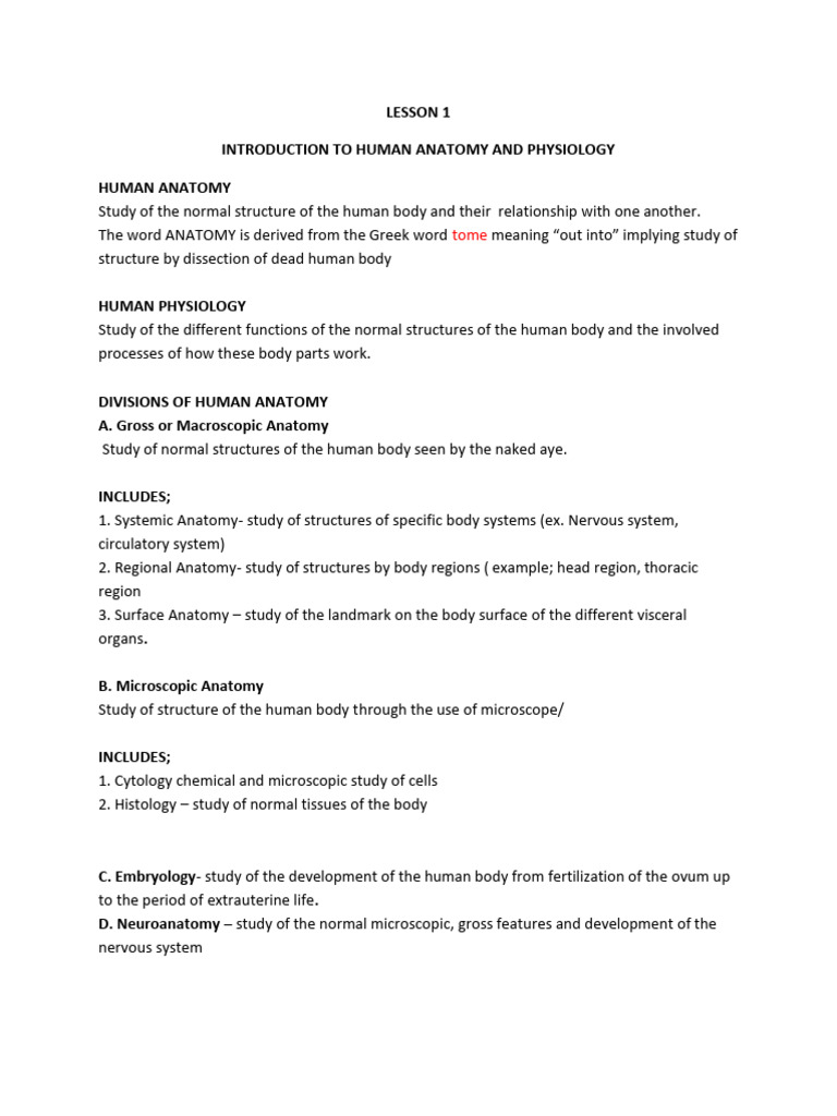 Human Anatomy and Physiology Overview | PDF | Anatomical Terms Of ...