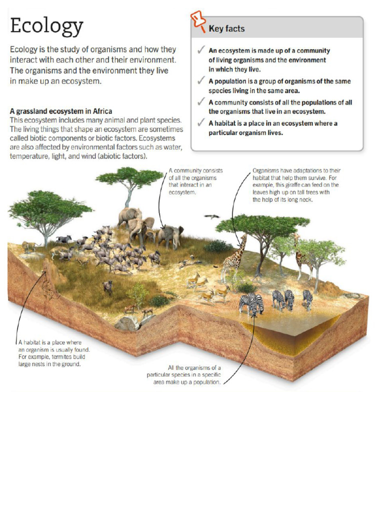 Unit 2 Task 1 Notes Images Bio A Fall 2025 | PDF