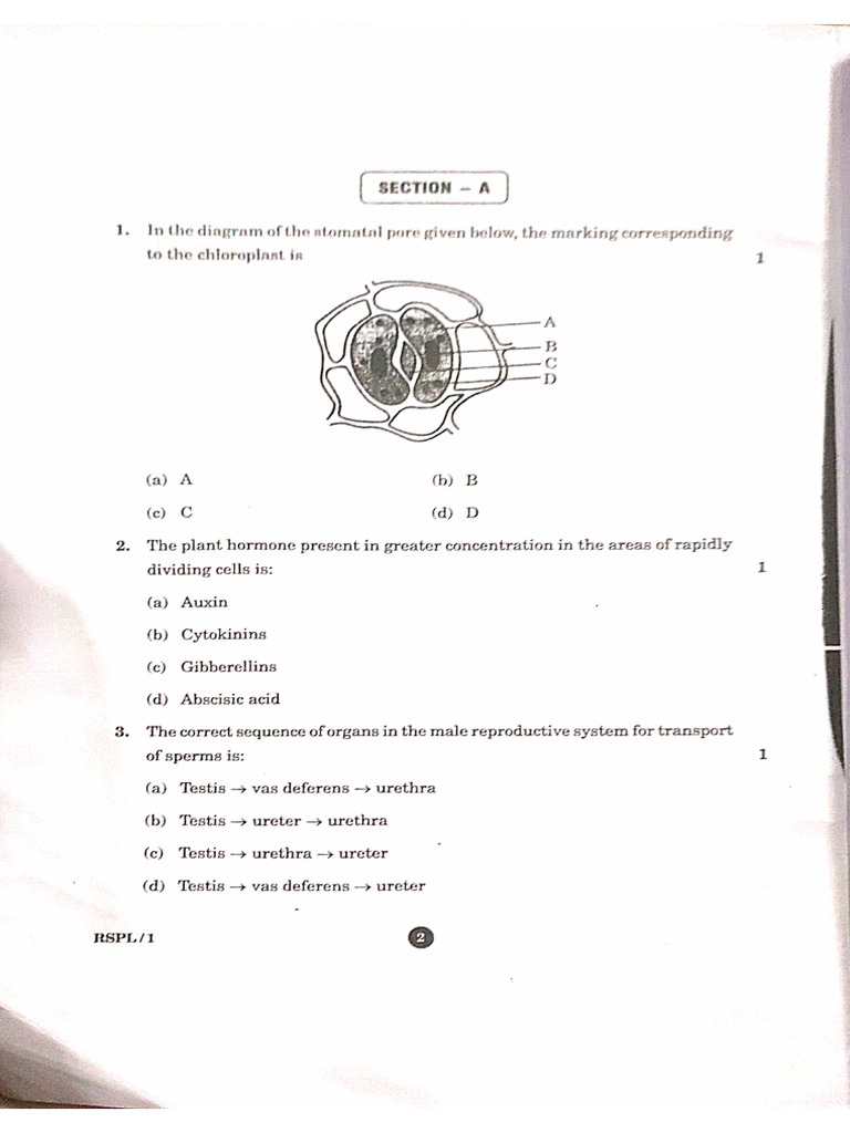 Science | PDF