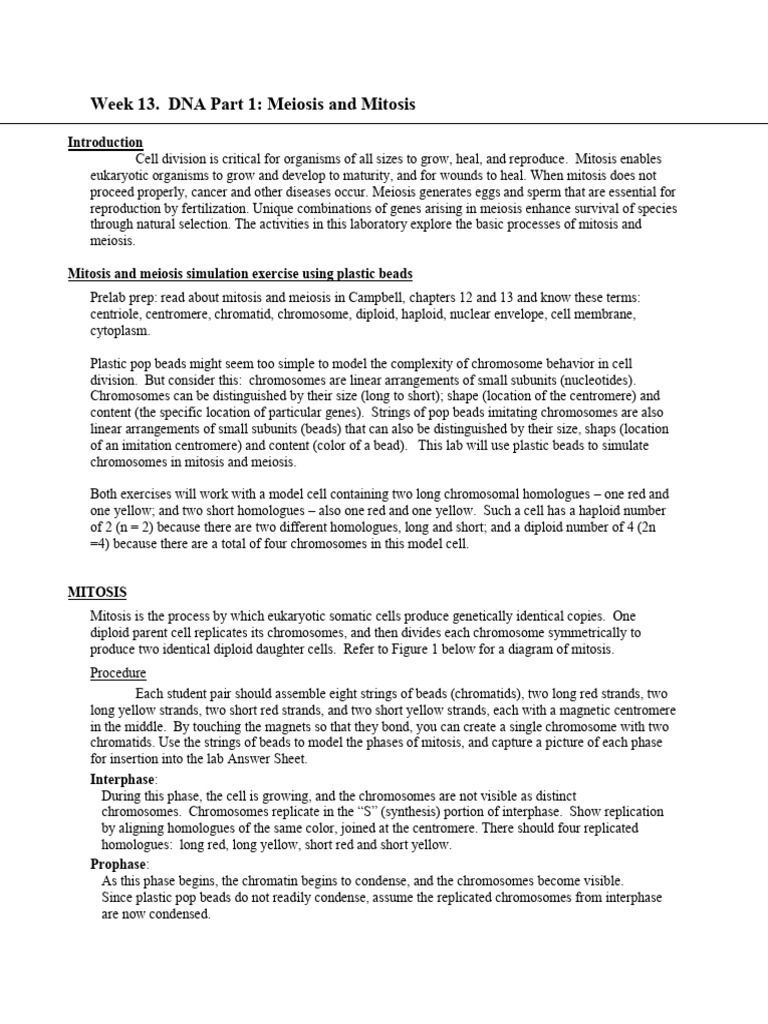 Week 13 Protocol Part 1 (1) | PDF | Meiosis | Mitosis