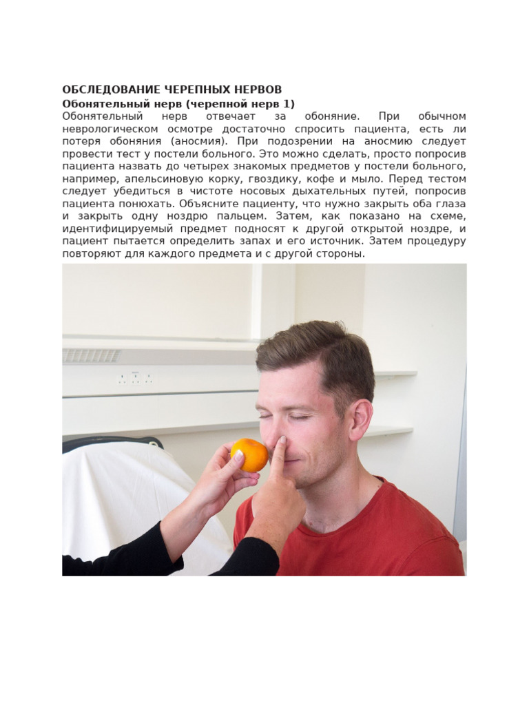 Cranial Nerve Examination | PDF