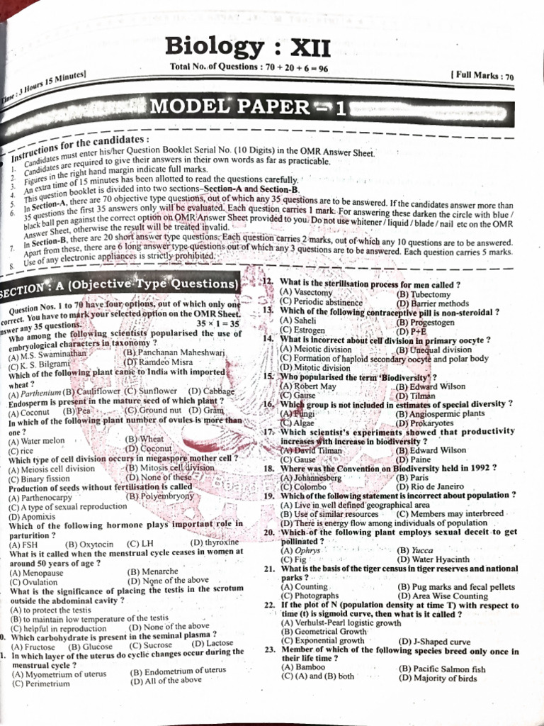 Model Paper | PDF