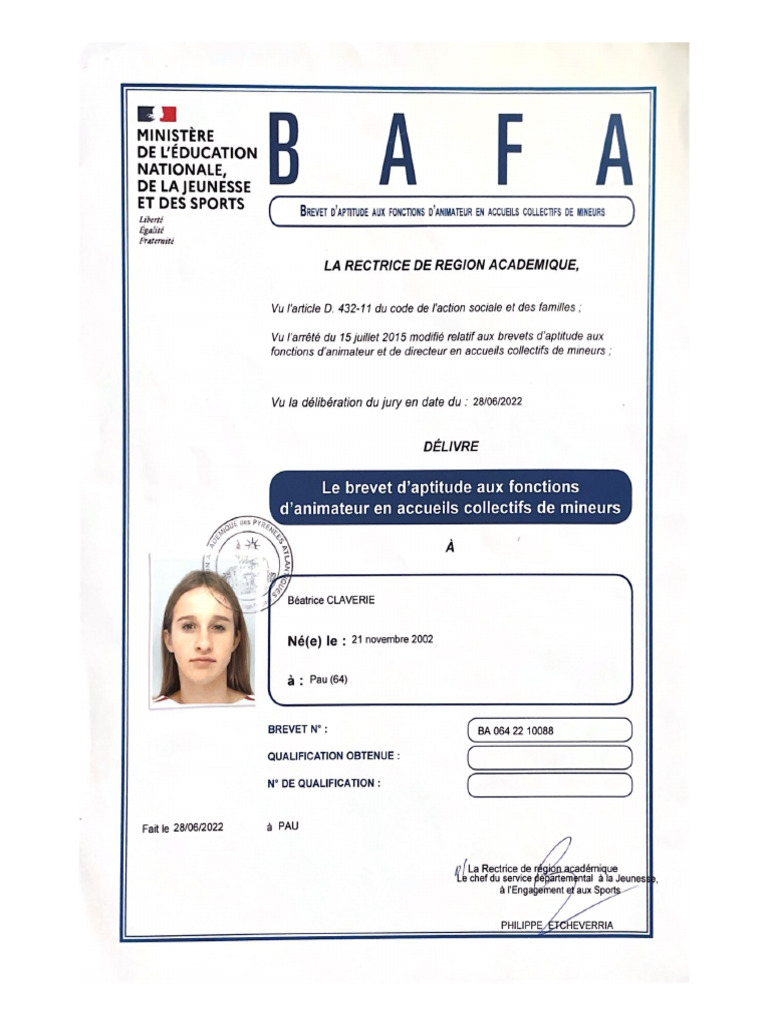 BAFA | PDF