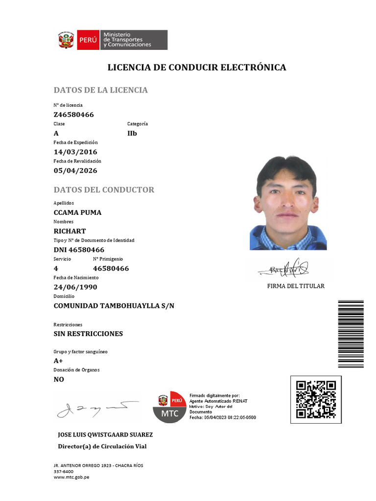 RICHAR CCAMA | PDF