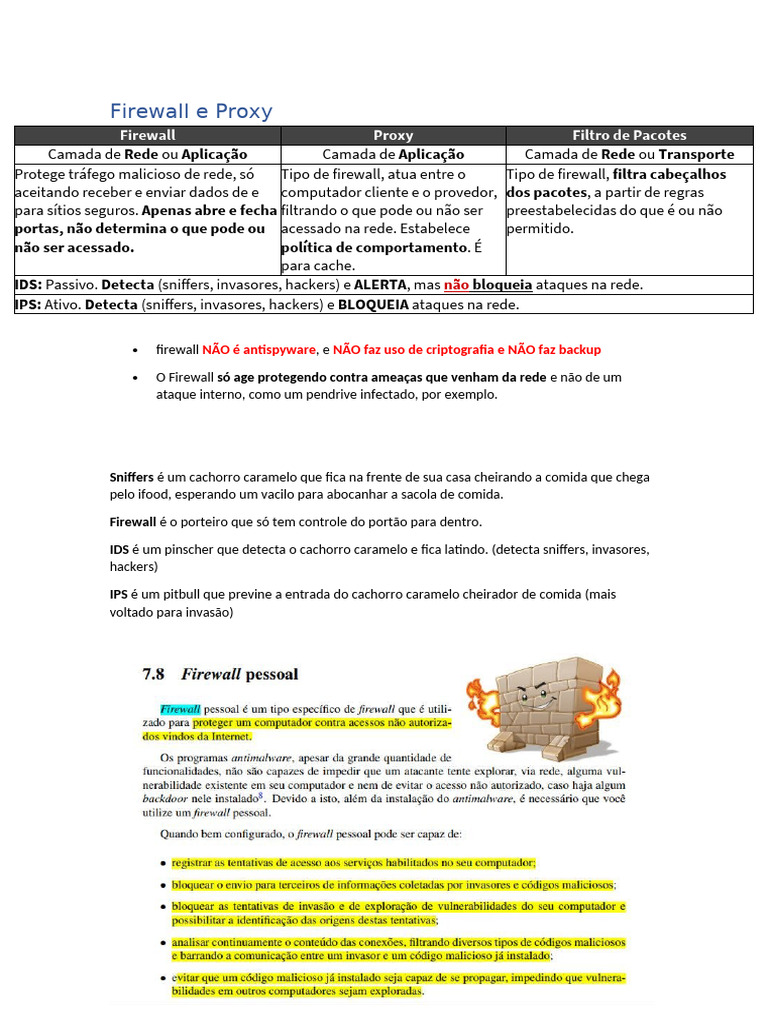 Segurança de Rede: Firewall e Proxy | PDF | Computação em nuvem ...