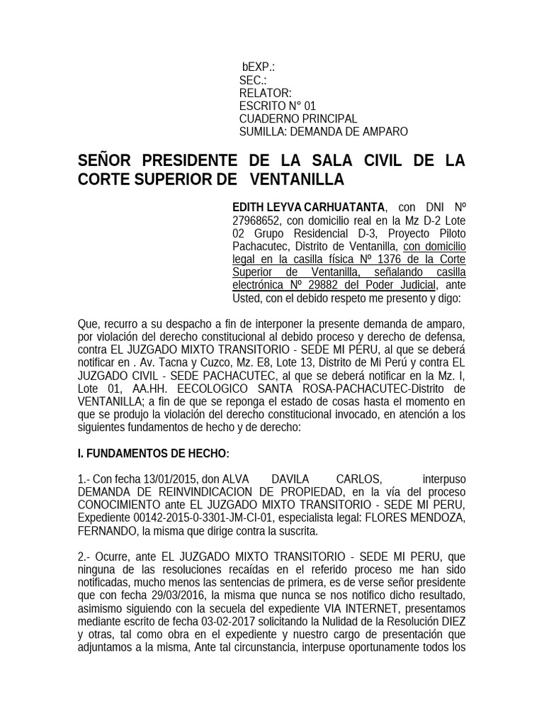 Demanda de Amparo por Debido Proceso | PDF | Debido al proceso ...