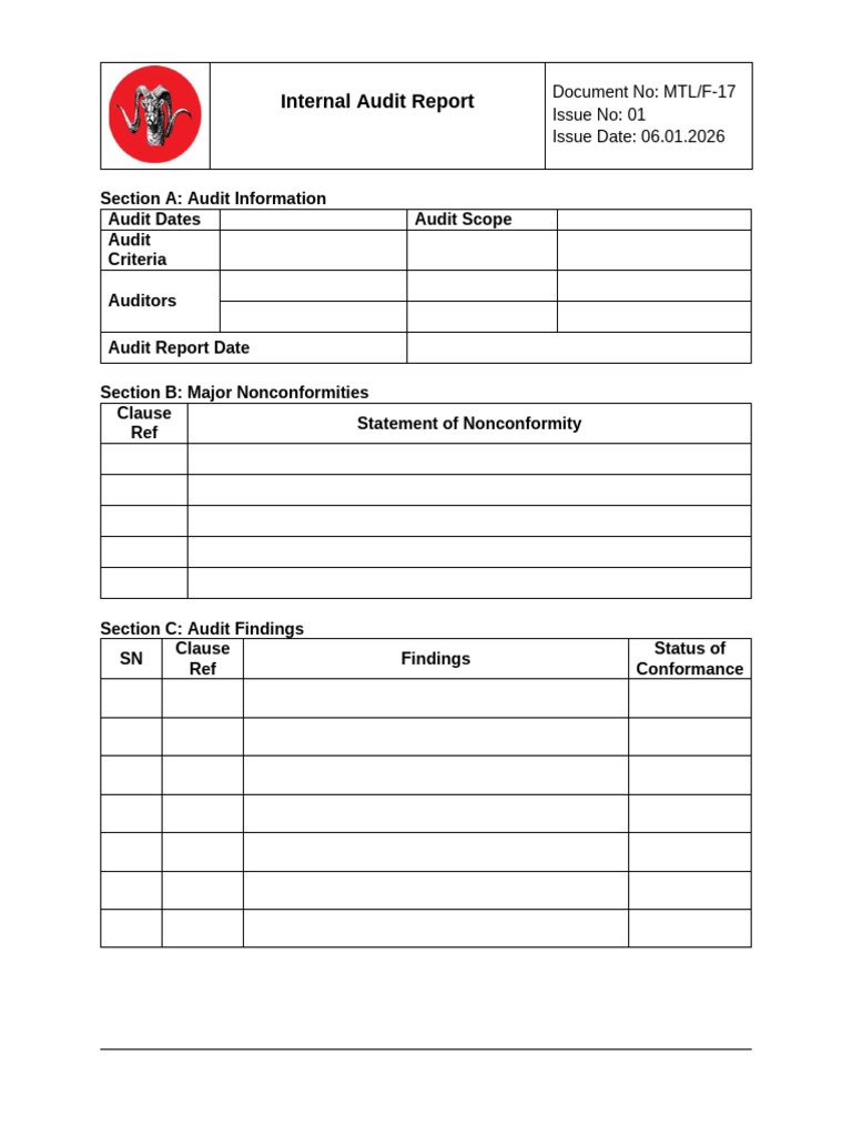 F17 Internal Audit Report | PDF