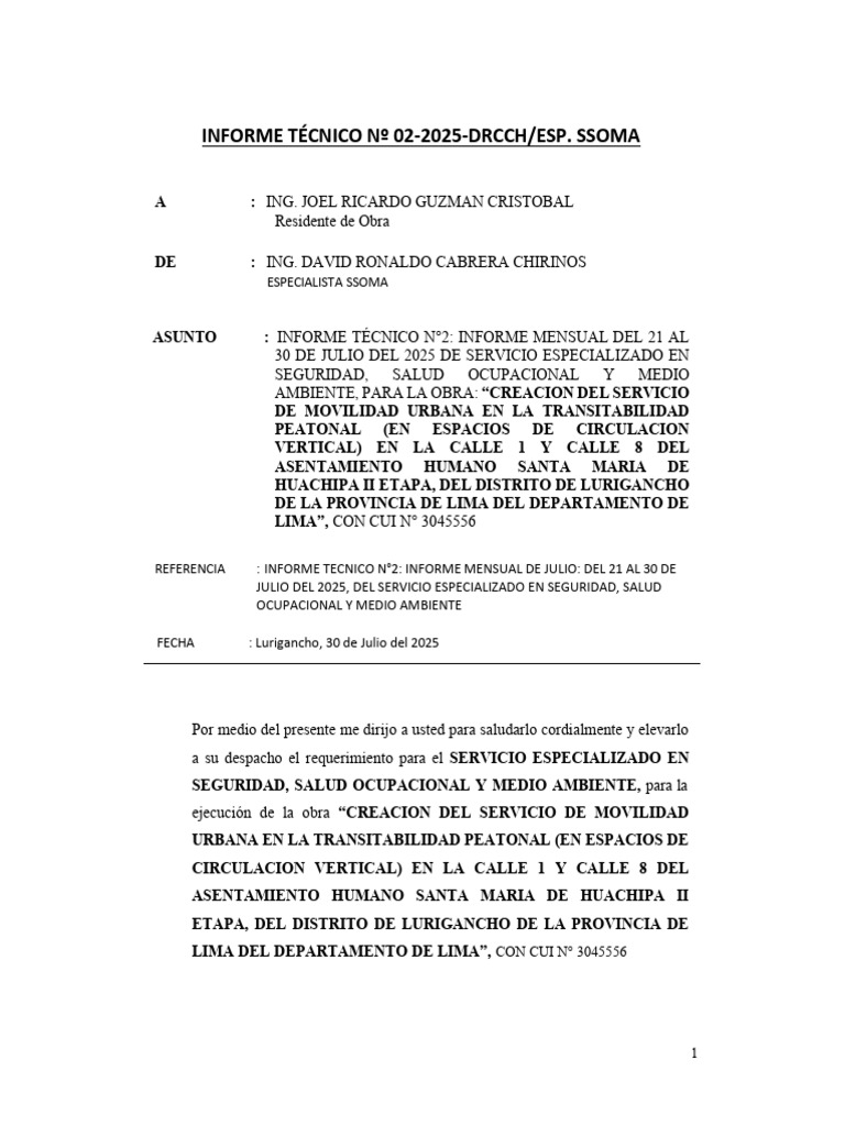 Informe Mensual de Seguridad y Salud 2025 | PDF | Seguridad y salud ...