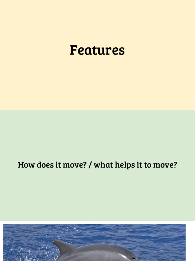 Features | PDF