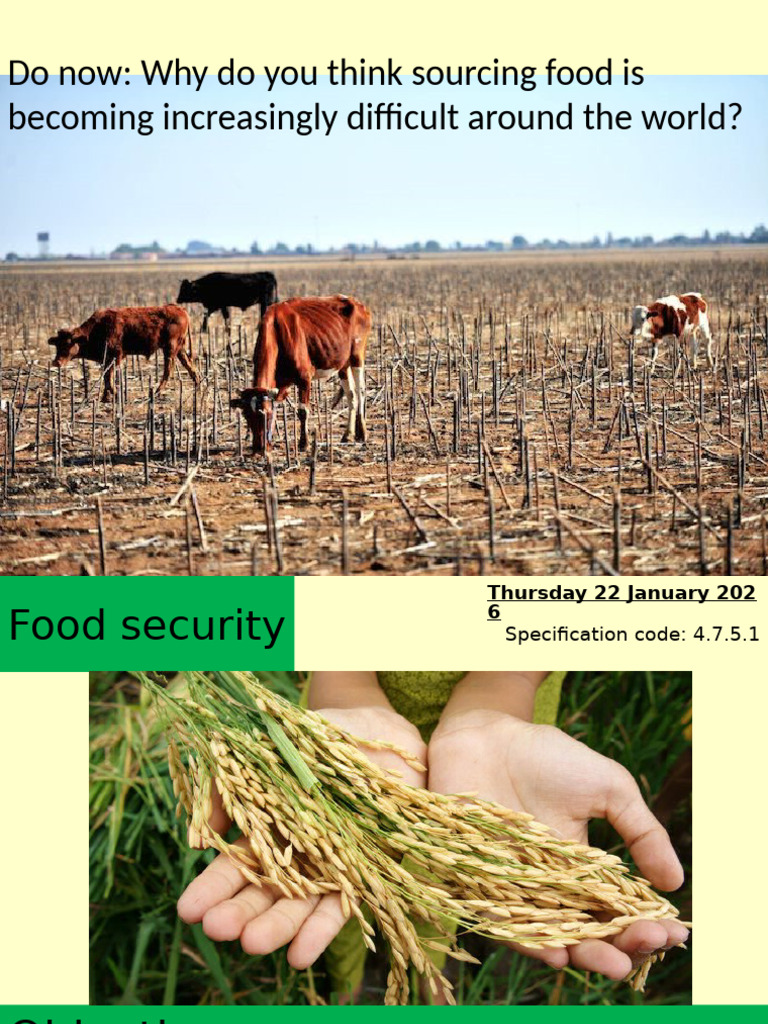 Understanding Global Food Security Challenges | PDF | Agriculture ...