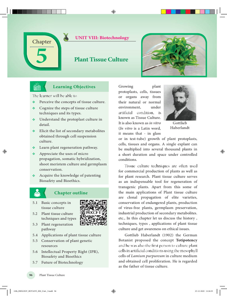 Comprehensive Guide to Document Structure | PDF
