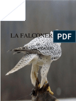 Falconeri A