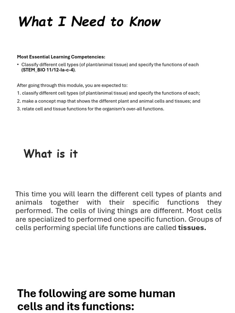 Lesson 4 Notes | PDF | Tissue (Biology) | Muscle