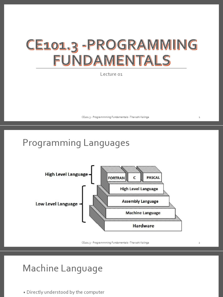 Lecture 01 | PDF | Programming | Computer Program